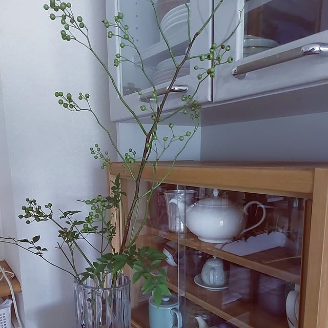 miyocoさんの実例写真