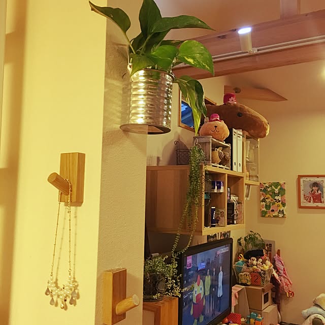 makoriさんの実例写真