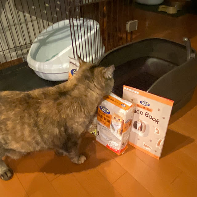 kaorinさんの部屋