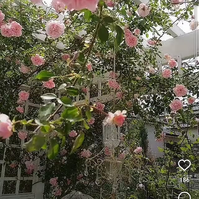 kiyosukeさんの部屋