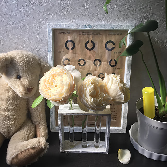 Mimozaさんの実例写真