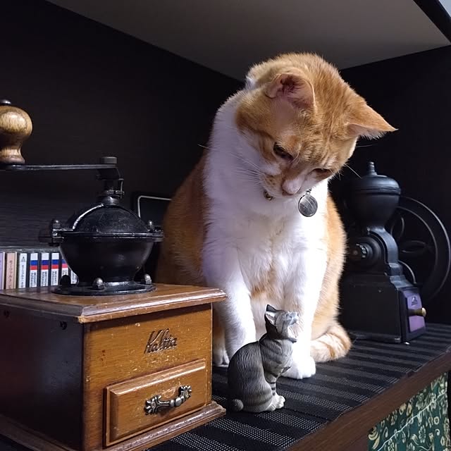 NOAHさんの部屋
