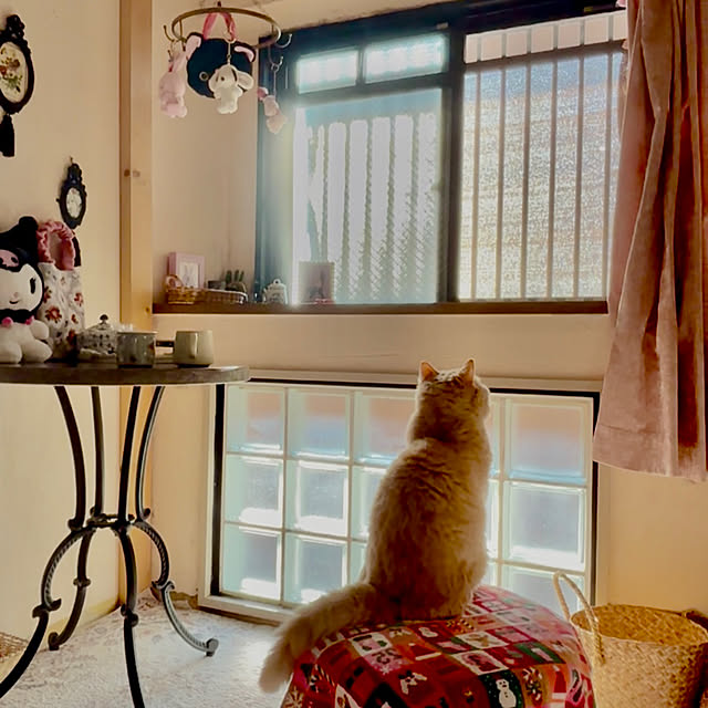 naokoさんの実例写真