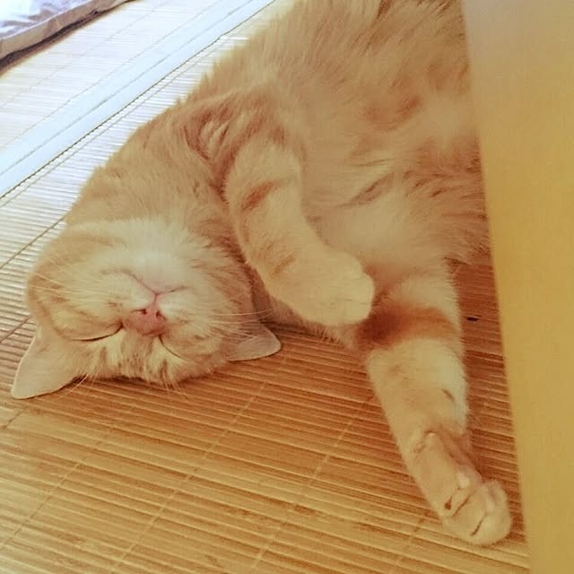 J.BOYさんの実例写真