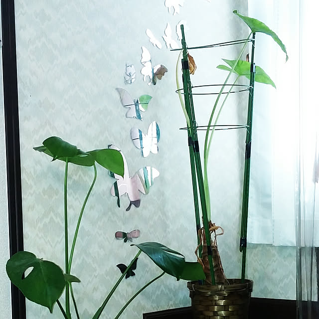Tさんの実例写真