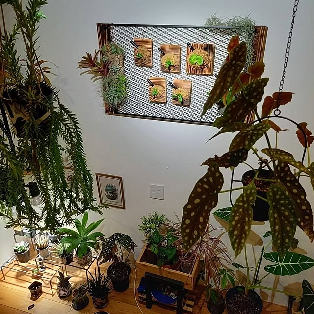 Rさんの部屋