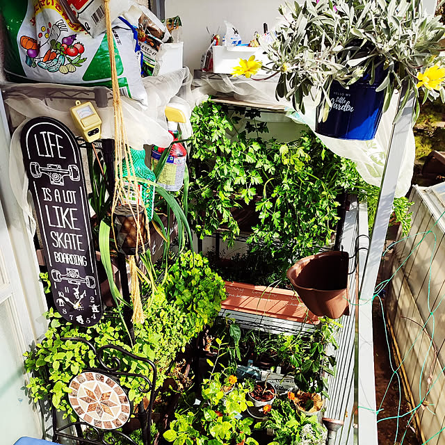 Tackunさんの実例写真