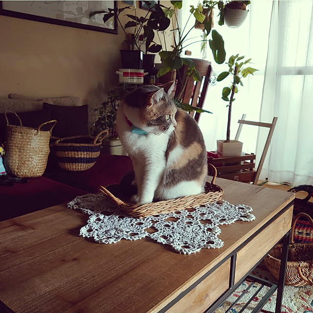 fukuさんの実例写真
