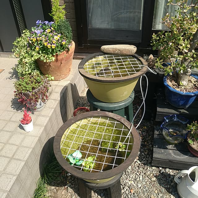 実例写真