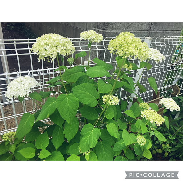 CoCo0617さんの部屋