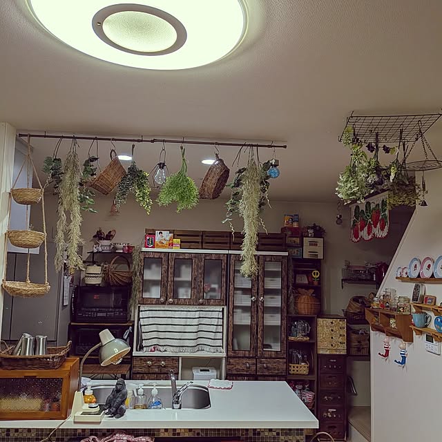 umeboshicyanさんの実例写真