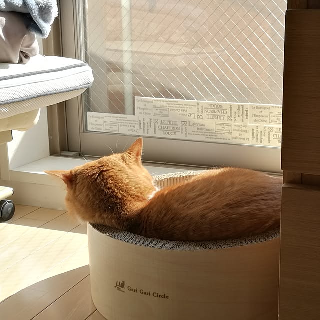 camomile326さんの実例写真
