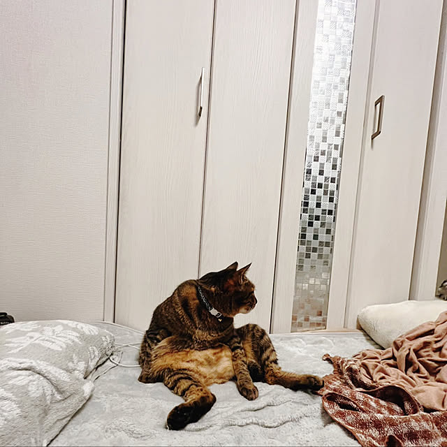 sumoanzuさんの実例写真