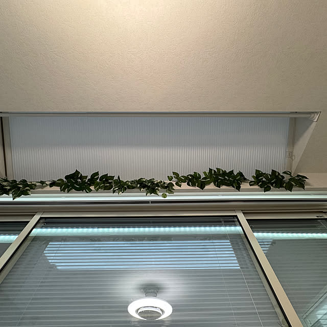 Rainyさんの部屋