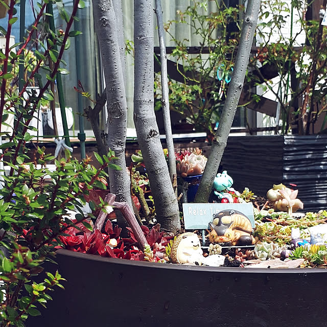 aiさんの実例写真