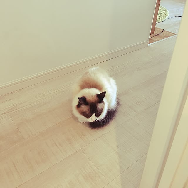 niko-25さんの実例写真