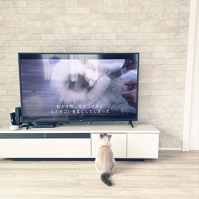 gingerwynksさんの実例写真