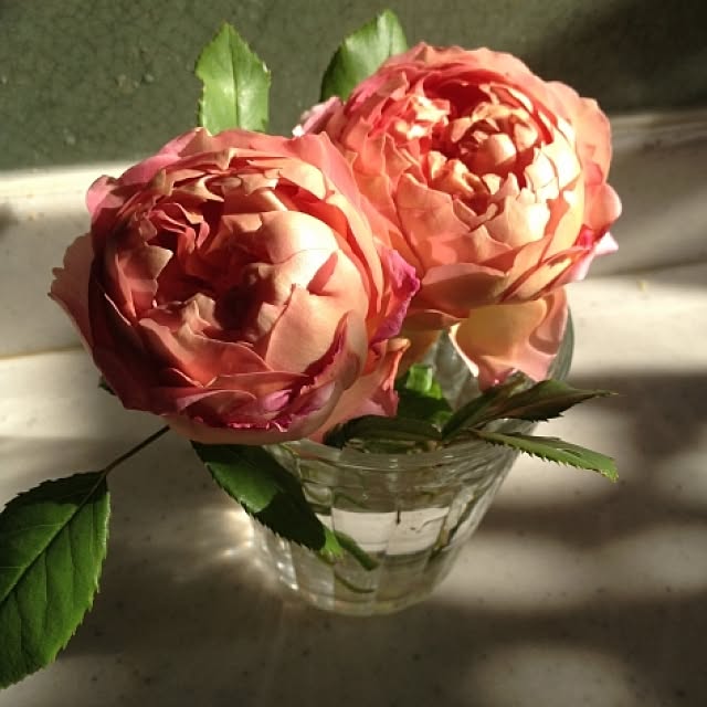 kimishigureさんの実例写真