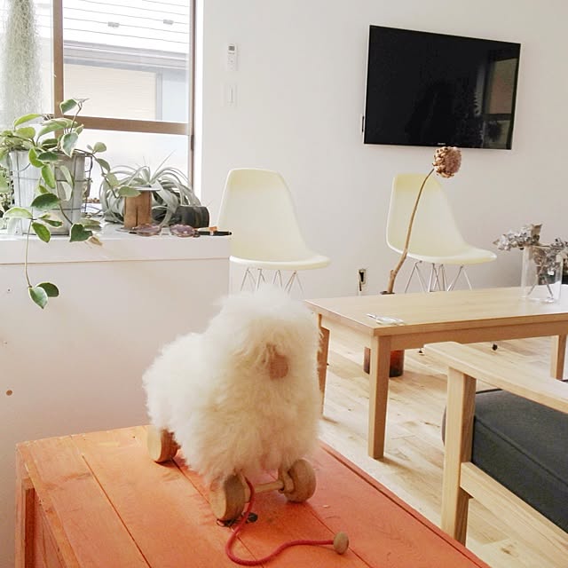 Atsushiさんの実例写真