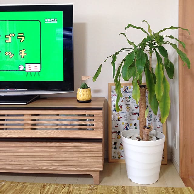 orangepecoさんの実例写真
