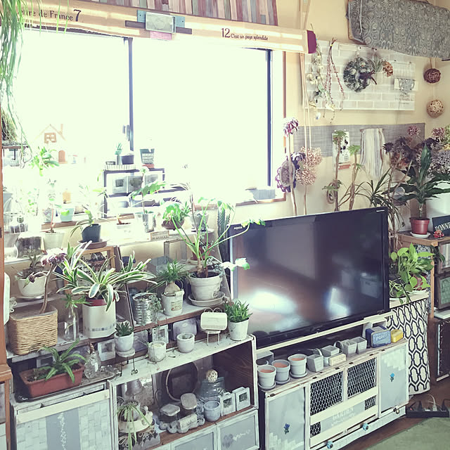 Norikoさんの実例写真