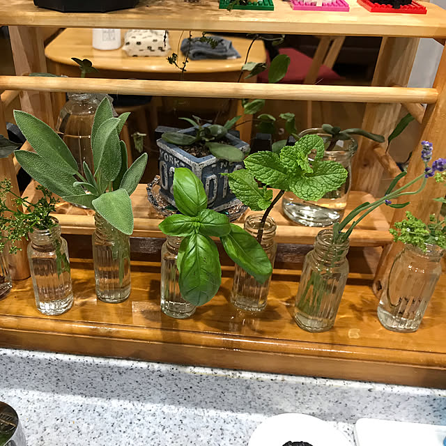 daikichiさんの実例写真