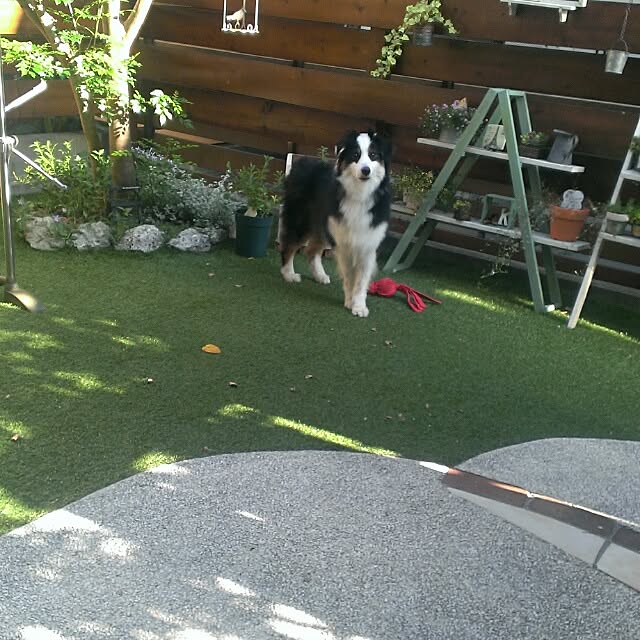 milkyさんの実例写真