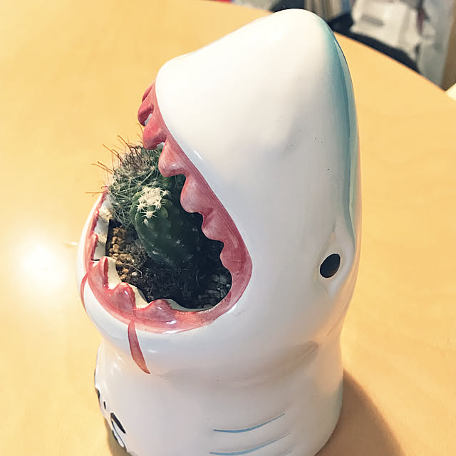 myan56さんの実例写真