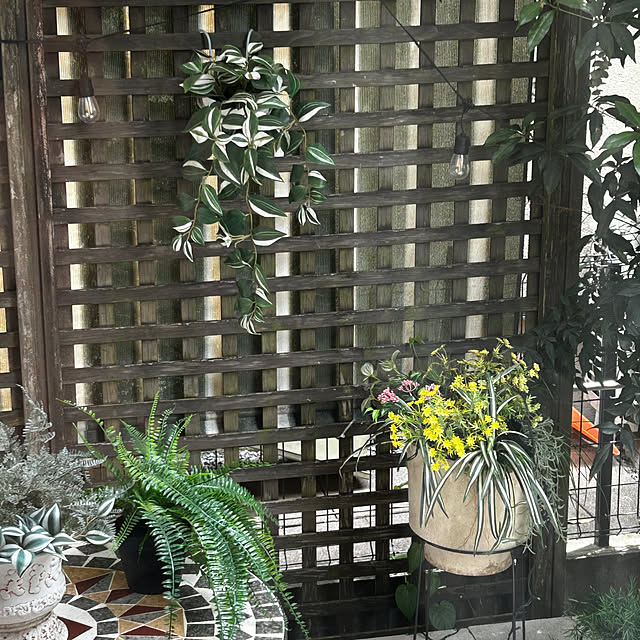 mirolさんの部屋