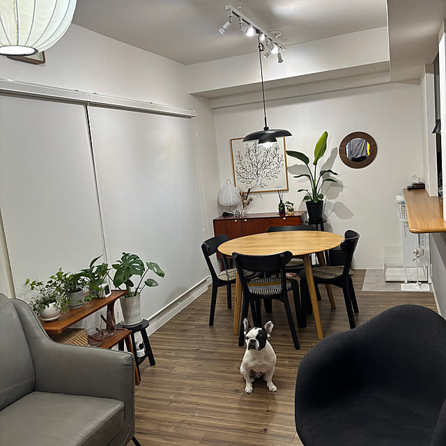 Dembeさんの実例写真