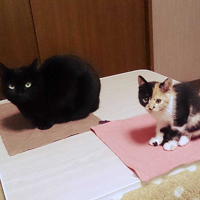 kuuaさんの実例写真