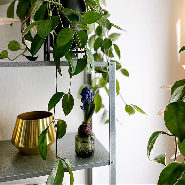 moon.mさんの部屋