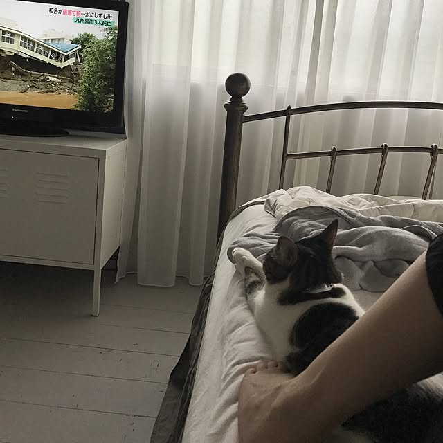 Shihoさんの実例写真