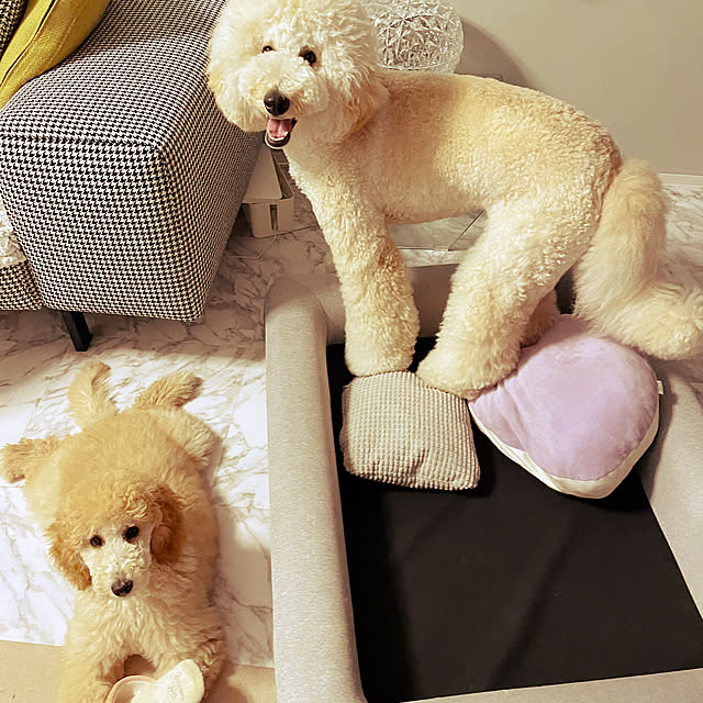 nackeyさんの部屋