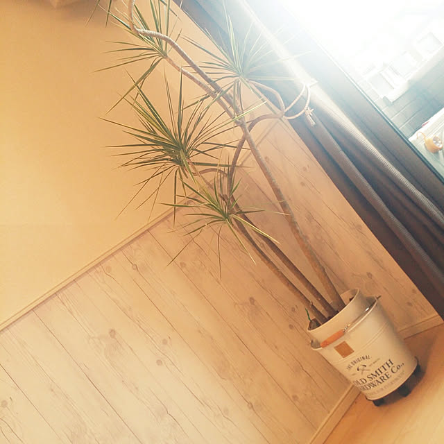 aya.kさんの実例写真