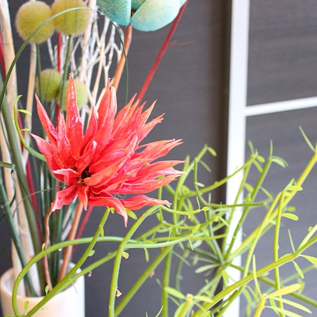water__flowerさんの実例写真