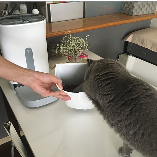 kittyさんの実例写真