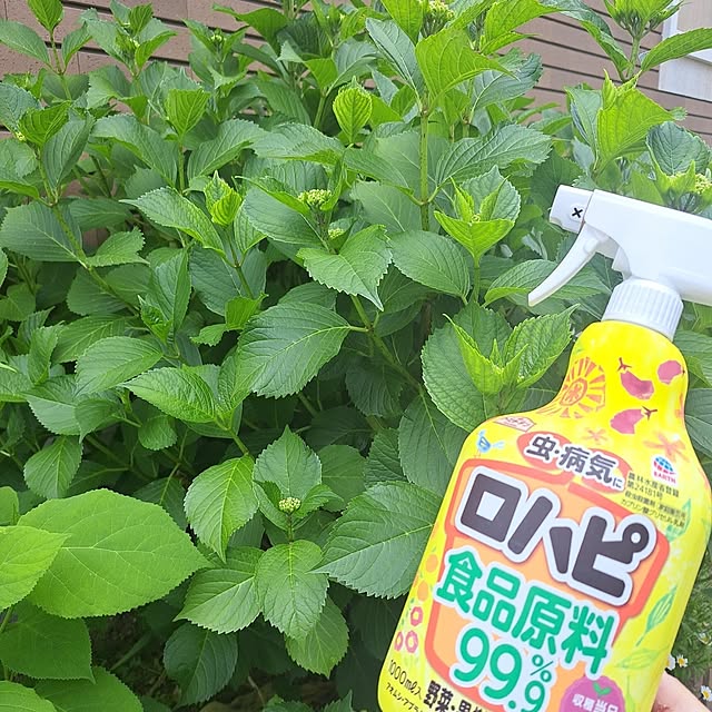 twinsさんの実例写真