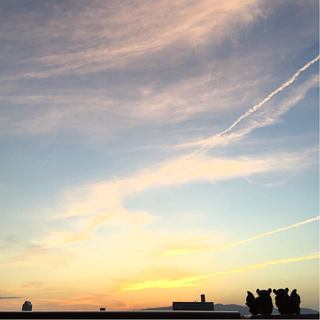 simple_blowbackさんの実例写真
