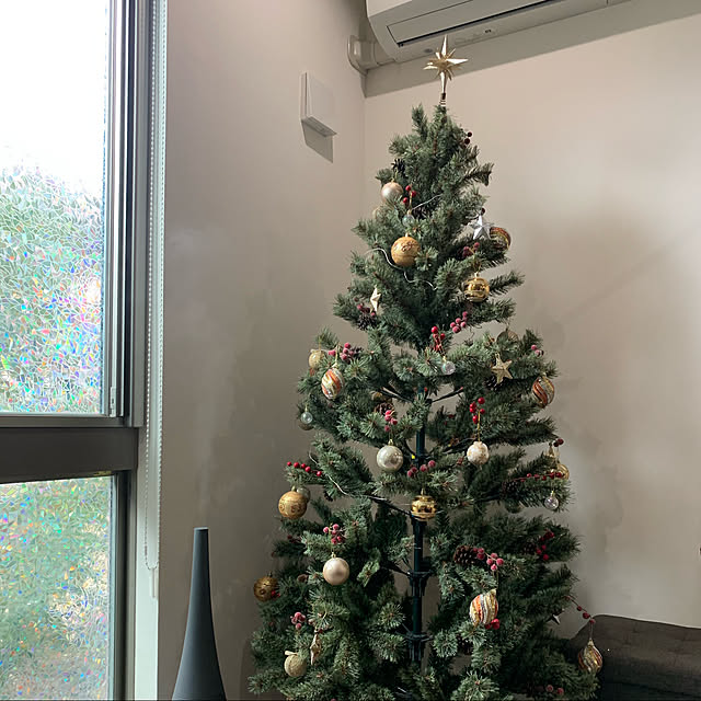 にこあんど…/クリスマス/リビングのインテリア実例 - 2021-11-10 22:16:34