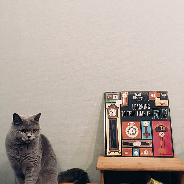 mochianさんの実例写真