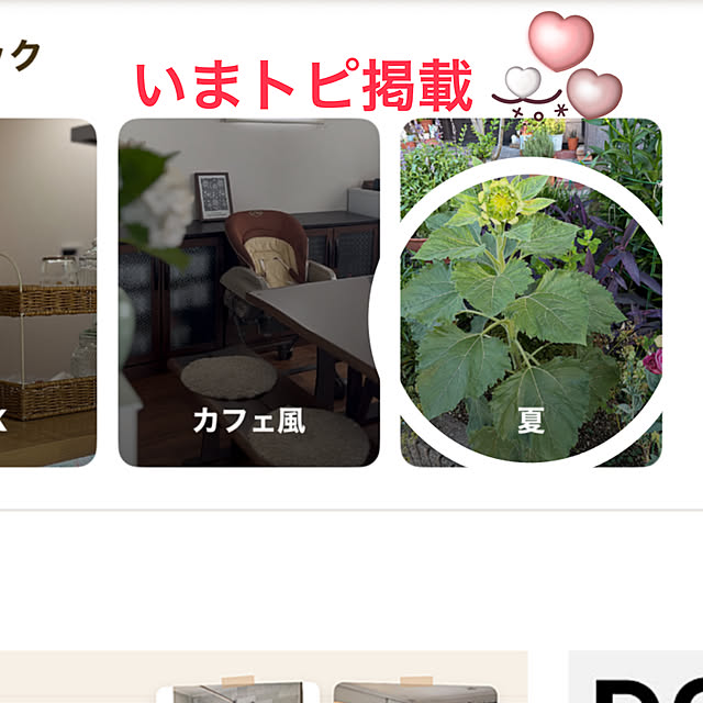 ritsukoさんの実例写真