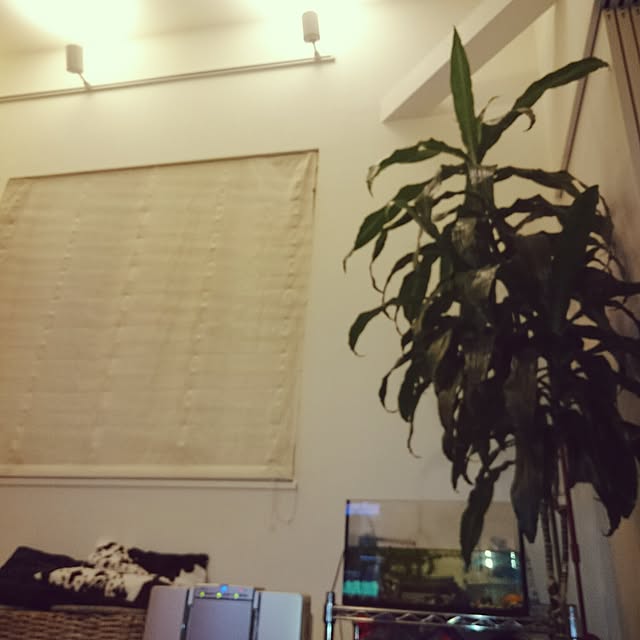 stu.syu.shoさんの実例写真