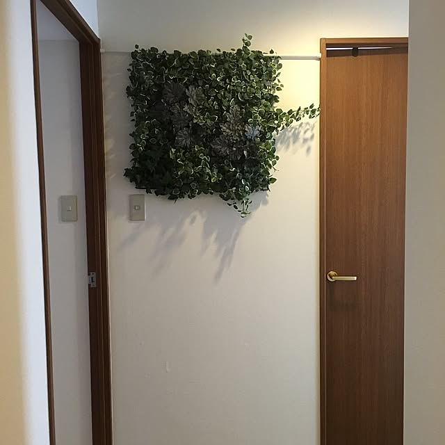Takaeさんの実例写真