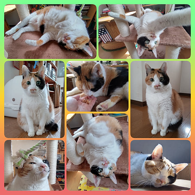 nanaさんの実例写真