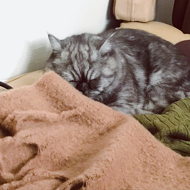 Marinさんの実例写真