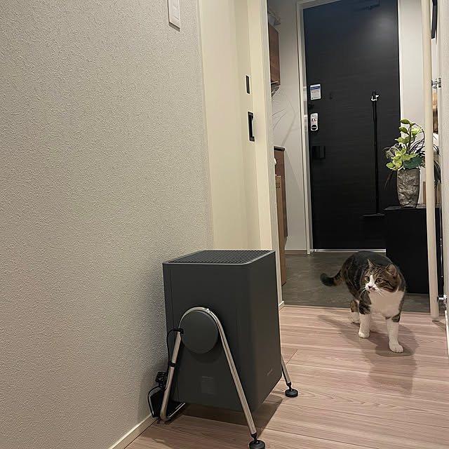 maimaiさんの部屋