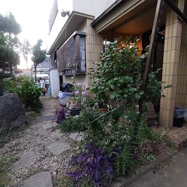 kotoraさんの部屋