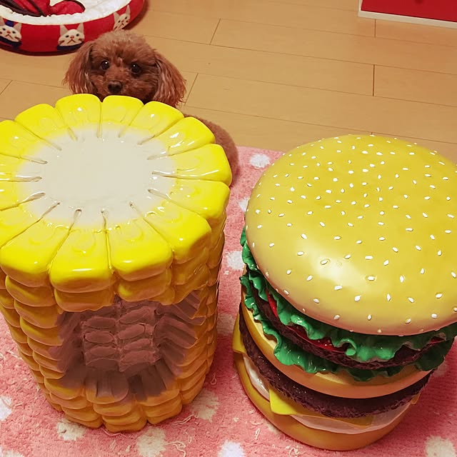 Hecacoさんの実例写真