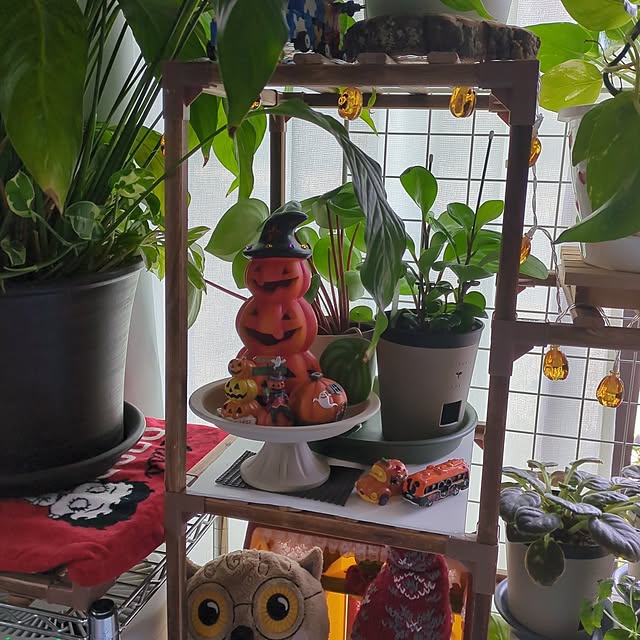 quanshanxia037さんの実例写真